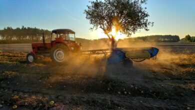 Photo of Ursus – polskie ciągniki z wieloletnią historią