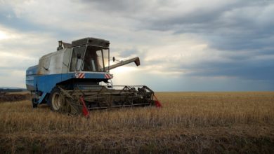 field-2703977_1920 Photo of Gdzie kupić części zamienne do maszyn marki Fortschritt?